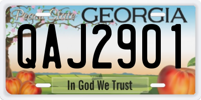 GA license plate QAJ2901