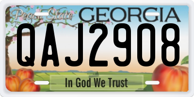 GA license plate QAJ2908