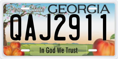 GA license plate QAJ2911