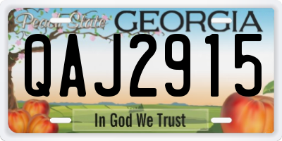 GA license plate QAJ2915