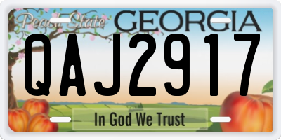 GA license plate QAJ2917