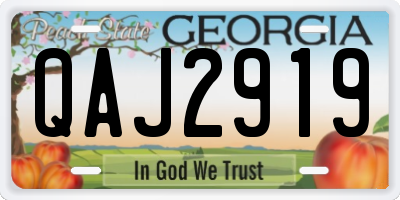 GA license plate QAJ2919