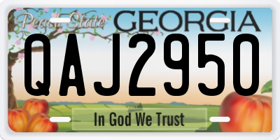 GA license plate QAJ2950