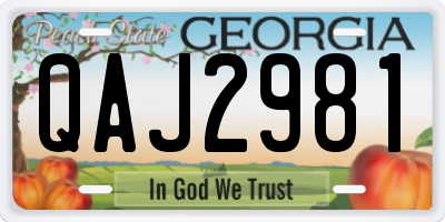GA license plate QAJ2981