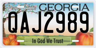 GA license plate QAJ2989