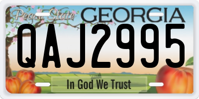 GA license plate QAJ2995