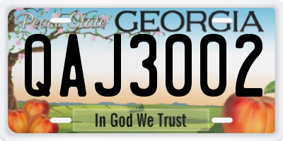 GA license plate QAJ3002
