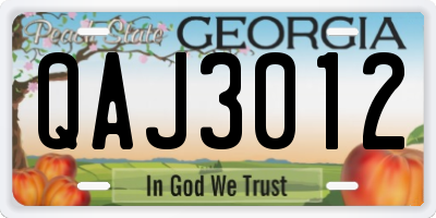 GA license plate QAJ3012