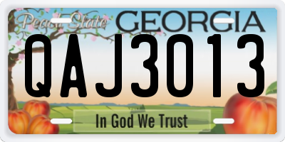 GA license plate QAJ3013