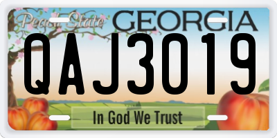 GA license plate QAJ3019
