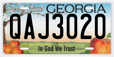 GA license plate QAJ3020