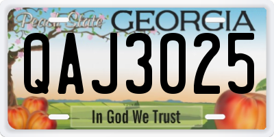 GA license plate QAJ3025