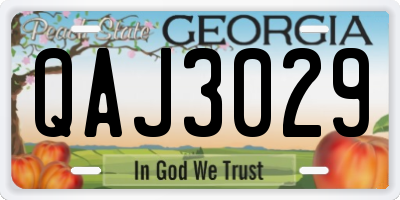 GA license plate QAJ3029