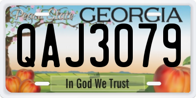 GA license plate QAJ3079