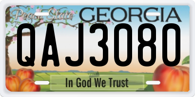 GA license plate QAJ3080