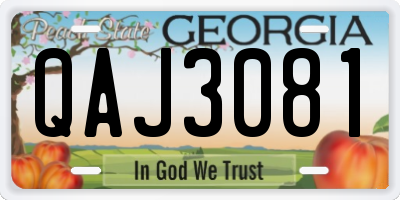 GA license plate QAJ3081