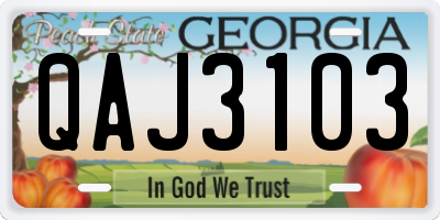 GA license plate QAJ3103