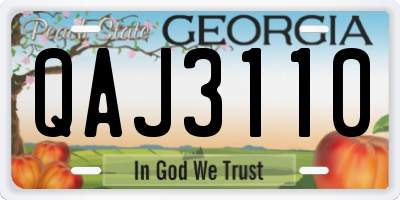 GA license plate QAJ3110