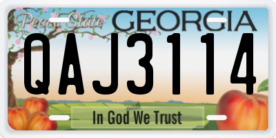 GA license plate QAJ3114