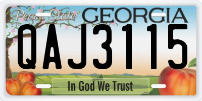 GA license plate QAJ3115