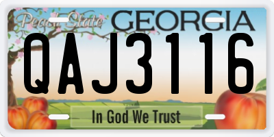 GA license plate QAJ3116