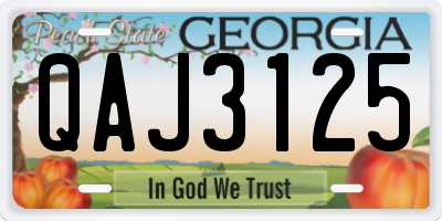 GA license plate QAJ3125