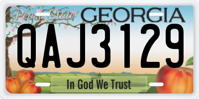 GA license plate QAJ3129