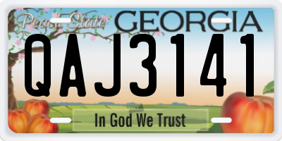 GA license plate QAJ3141