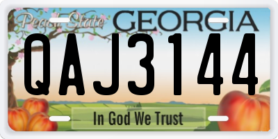 GA license plate QAJ3144