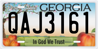 GA license plate QAJ3161