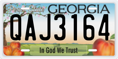 GA license plate QAJ3164