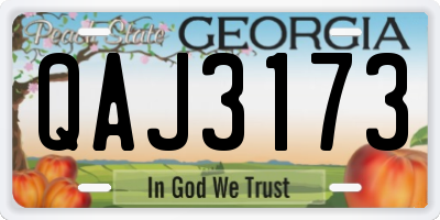GA license plate QAJ3173
