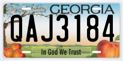 GA license plate QAJ3184