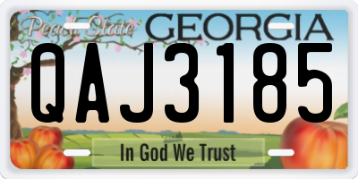 GA license plate QAJ3185
