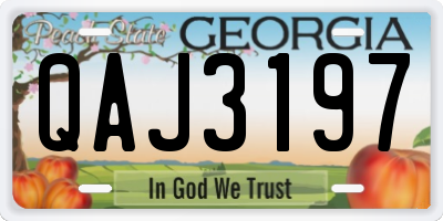 GA license plate QAJ3197