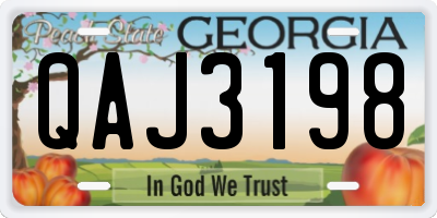 GA license plate QAJ3198