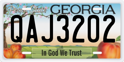 GA license plate QAJ3202