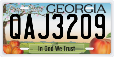 GA license plate QAJ3209