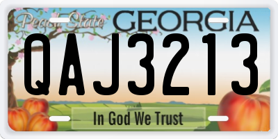GA license plate QAJ3213