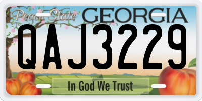 GA license plate QAJ3229
