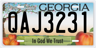 GA license plate QAJ3231