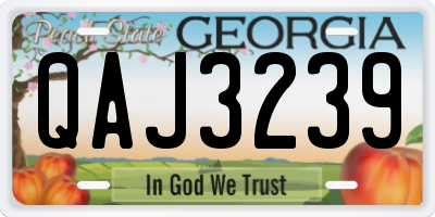 GA license plate QAJ3239