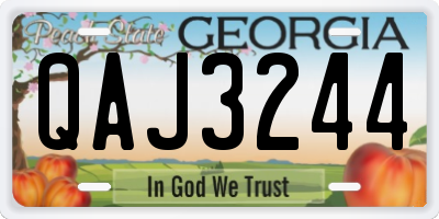 GA license plate QAJ3244