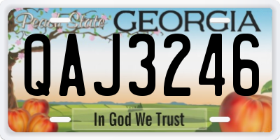 GA license plate QAJ3246