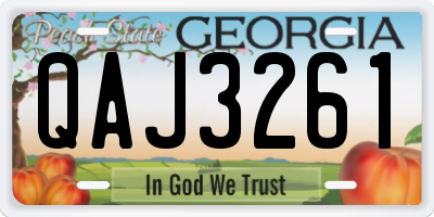 GA license plate QAJ3261