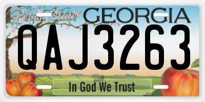 GA license plate QAJ3263