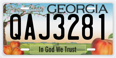 GA license plate QAJ3281