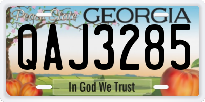 GA license plate QAJ3285