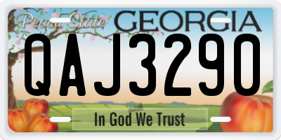 GA license plate QAJ3290