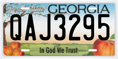 GA license plate QAJ3295